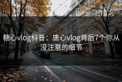 糖心vlog科普：唐心vlog背后7个你从没注意的细节