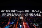 网红昨晚遭遇Tangxin爆料，糖心Vlog瞬间引爆全网热议，内幕揭秘火速呈现！