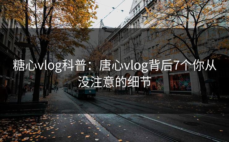 糖心vlog科普：唐心vlog背后7个你从没注意的细节