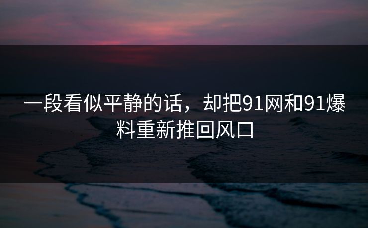 一段看似平静的话,却把91网和91爆料重新推回风口 一段看似平静的话,却把91网和91爆料重新推回风口