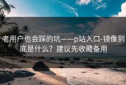 老用户也会踩的坑——p站入口-镜像到底是什么？建议先收藏备用